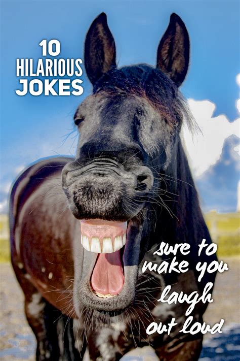 jokes that make people laugh|extremely hilarious jokes.